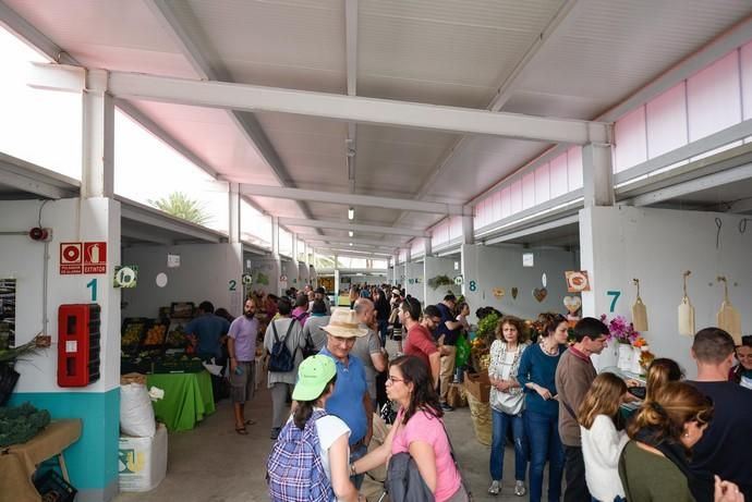 Feria Ecológica de Gran Canaria