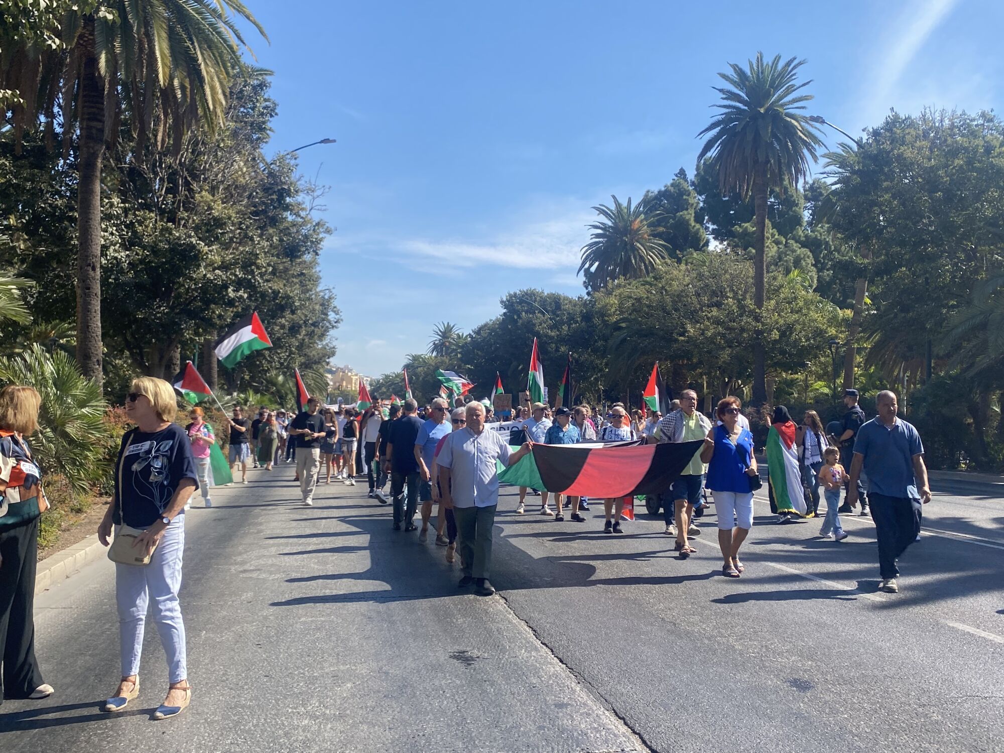 Manifestación en Málaga en favor del pueblo palestino