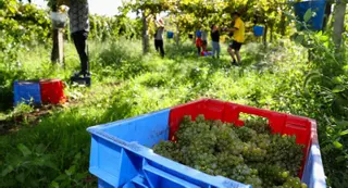 2023: 45 millones de razones para aplaudir a Rías Baixas
