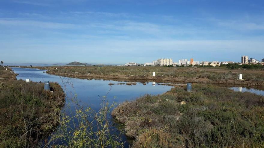 Zona donde se propone construir la urbanización