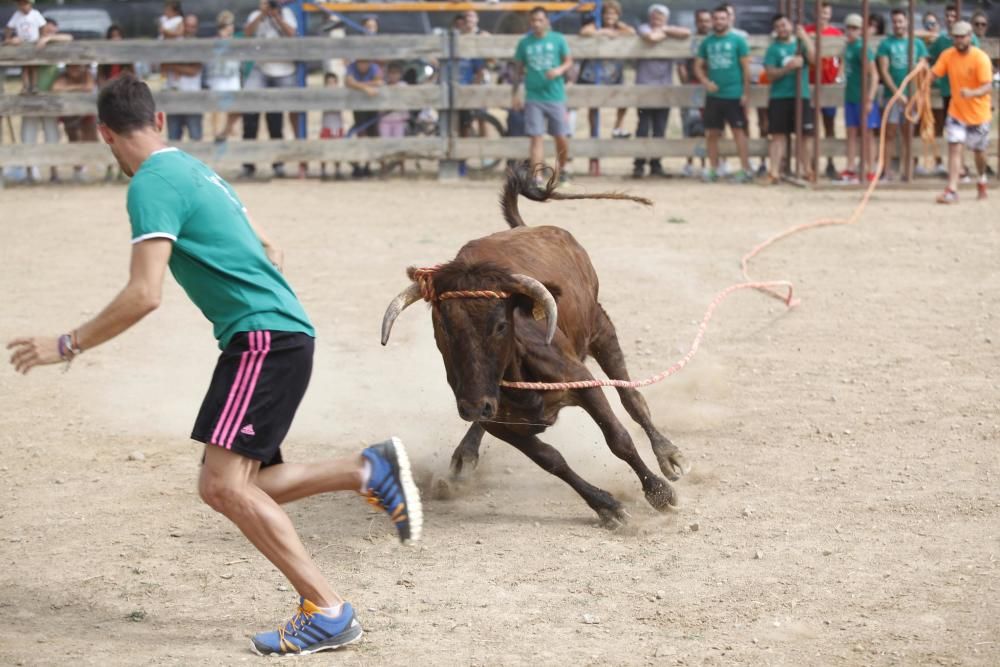 Vaquetes de Torroella de Montgrí