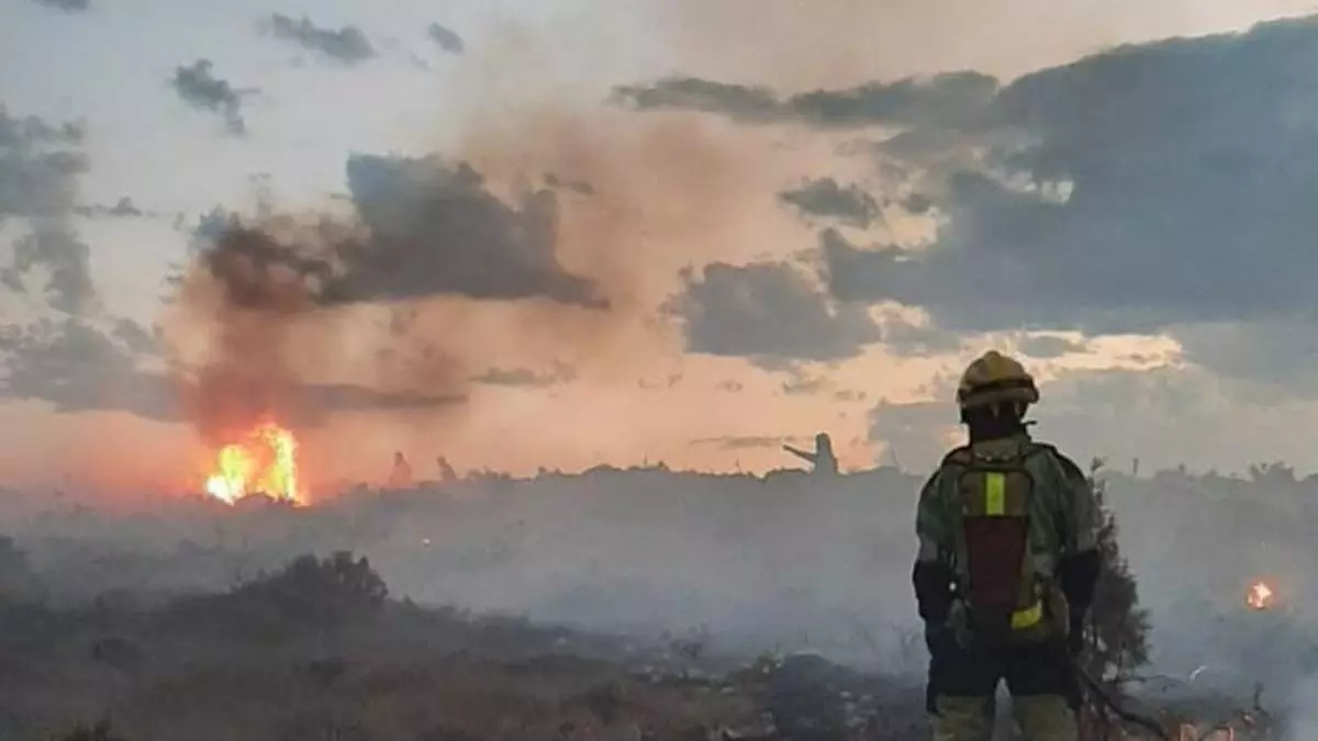 Vídeo: así trabaja durante la noche el Consorcio Provincial de Bomberos en el incendio de la Serra d'en Galceran