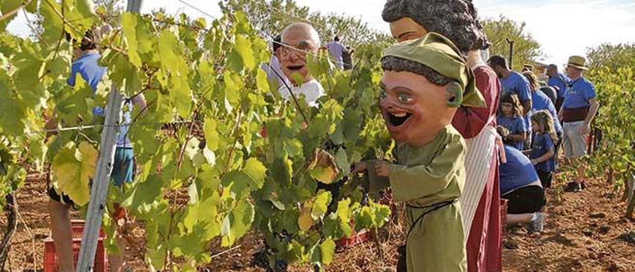 Una festiva imagen de la recolección de la uva con la compañía de los gigantes.