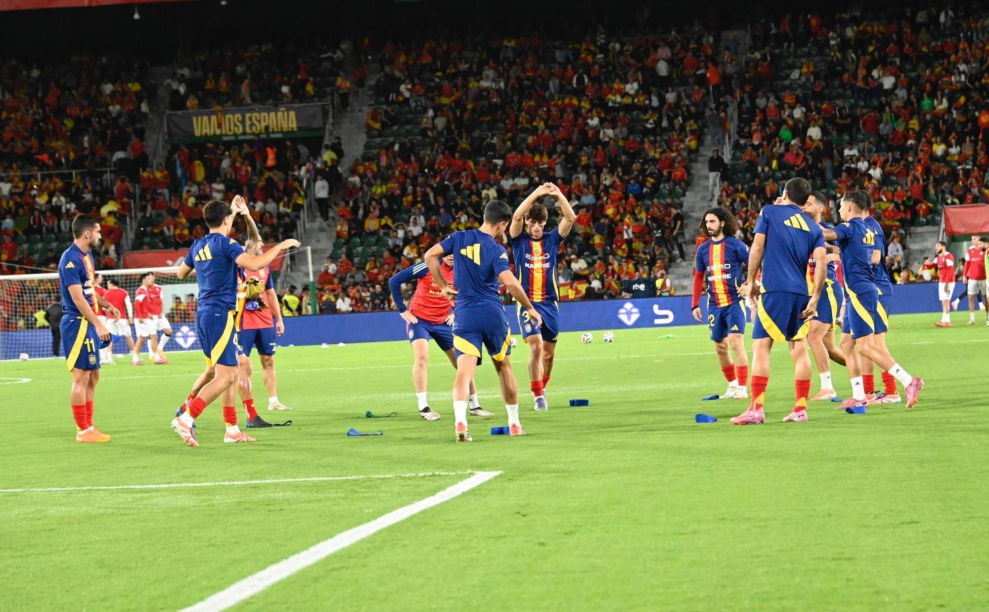 España - Georgia, en imágenes