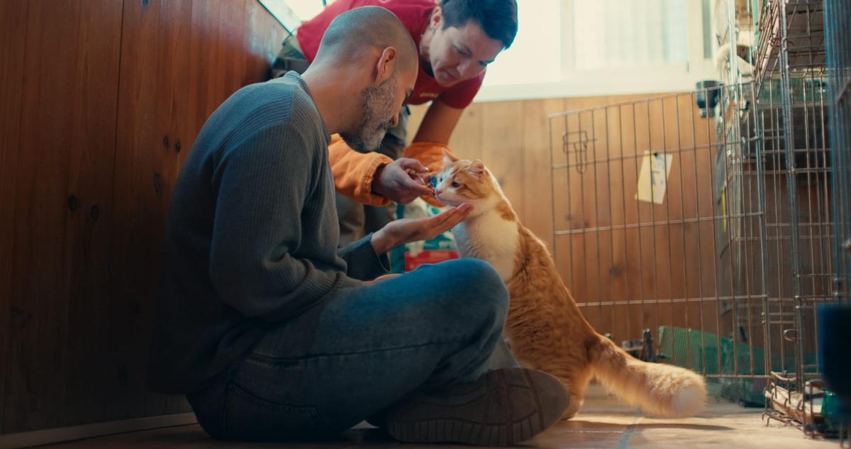 Dos empleados de APAG cuidan de un gato.