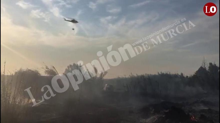 El incendio de La Alberca calcina la huerta de la zona