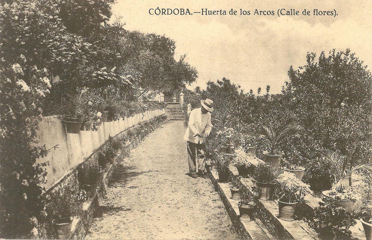 Calle de la Flores