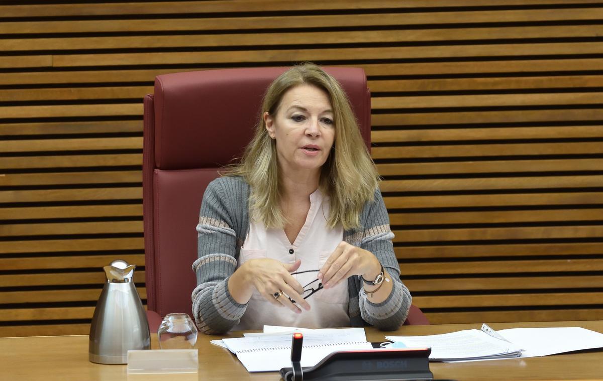 Concha Andrés, compareciendo en las Cortes.