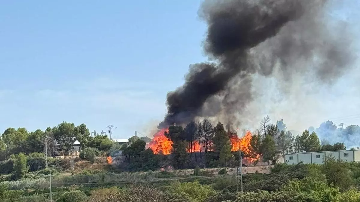Un incendio industrial en Algar de Palància pone en alerta a los dispositivos de extinción