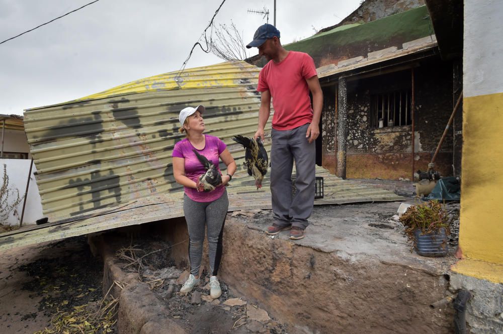 25-08-2019 GALDAR. Daños por el incendio en el quesería Cortijo de Galeote  | 25/08/2019 | Fotógrafo: Andrés Cruz