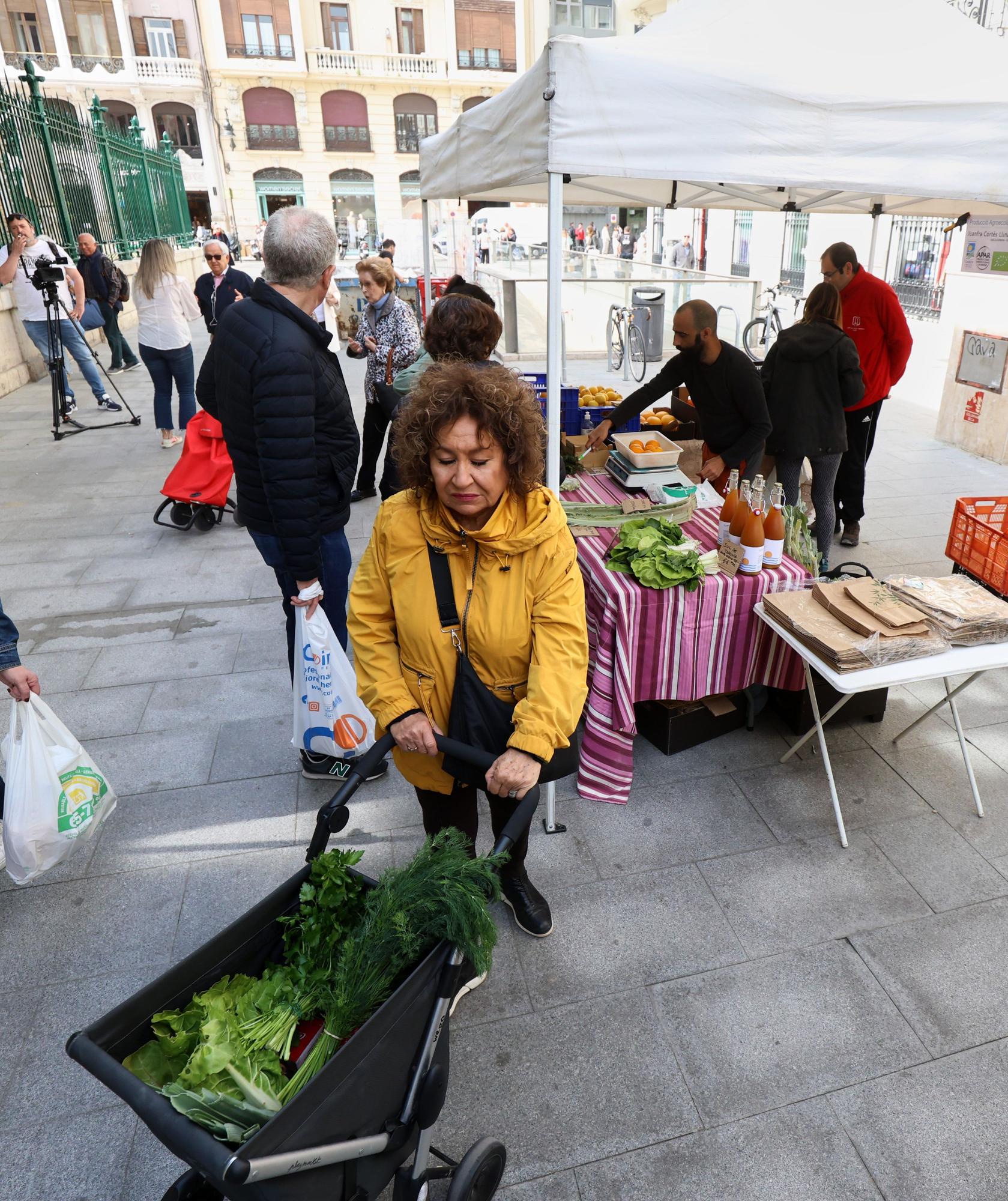 Mercadillo de frutas y verduras de huerta junto al mercado de Colón