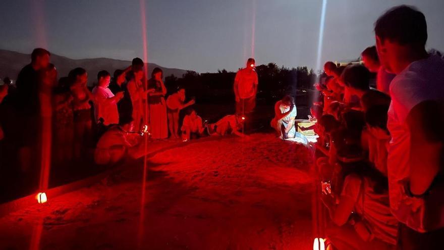 "Noche mágica en Dénia": nacen otras 140 tortuguitas (vídeo)