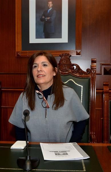 Pleno del Ayuntamiento de Telde