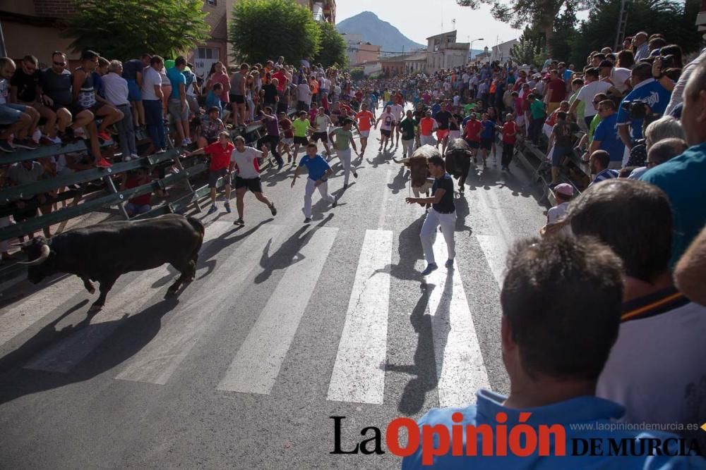 Segundo encierro de Calasparra