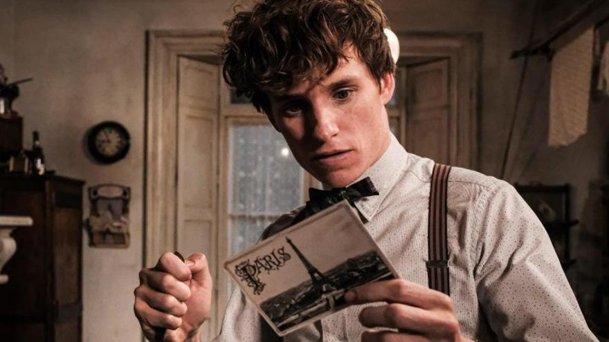 Redmayne.