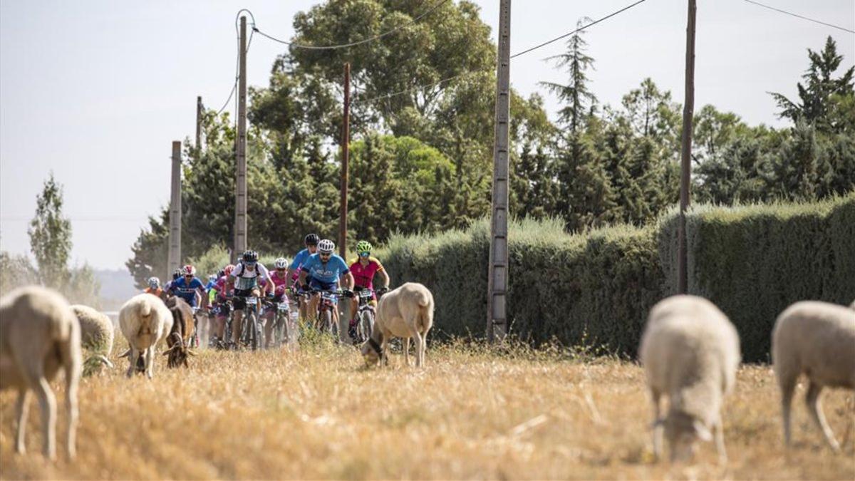 700km con un tiempo máximo de 55 horas, ese es el reto