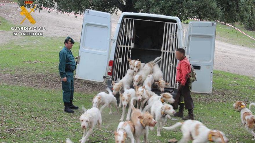 El Seprona reactiva la lucha contra el furtivismo en temporada de caza