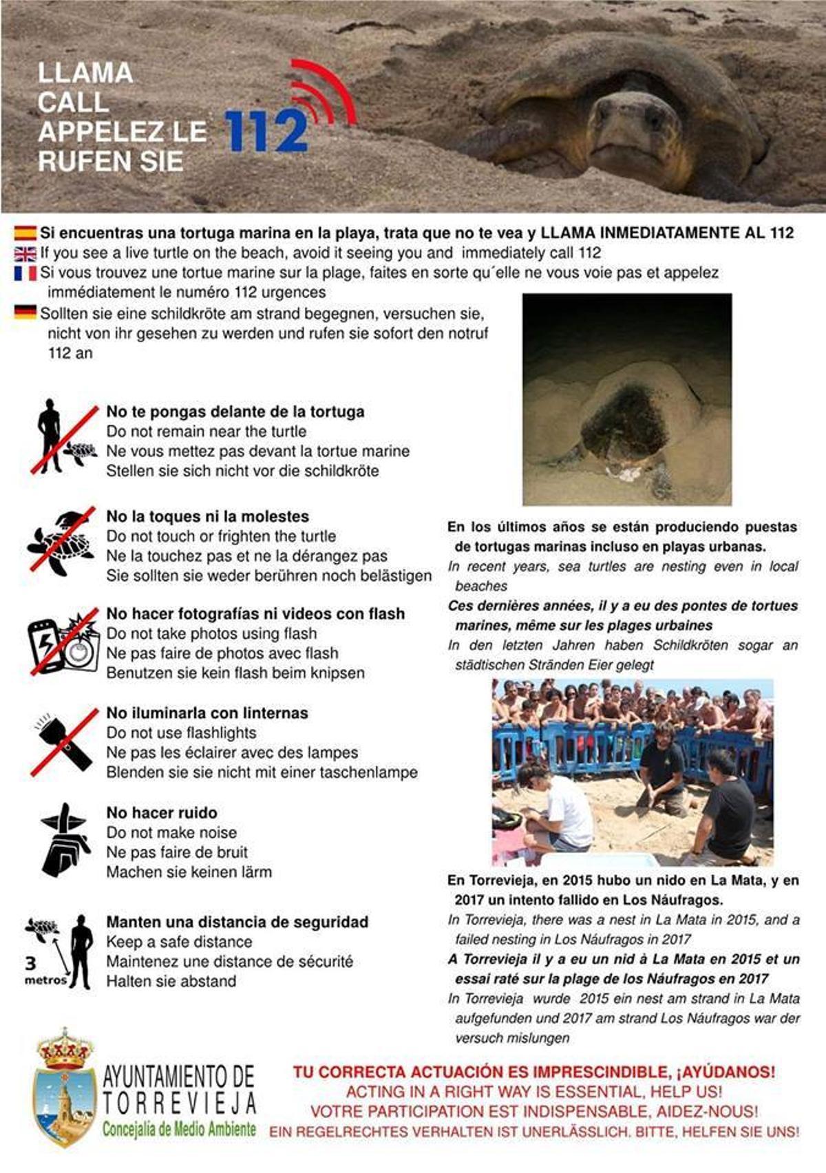 Gran tortuga busca playa en la Vega Baja