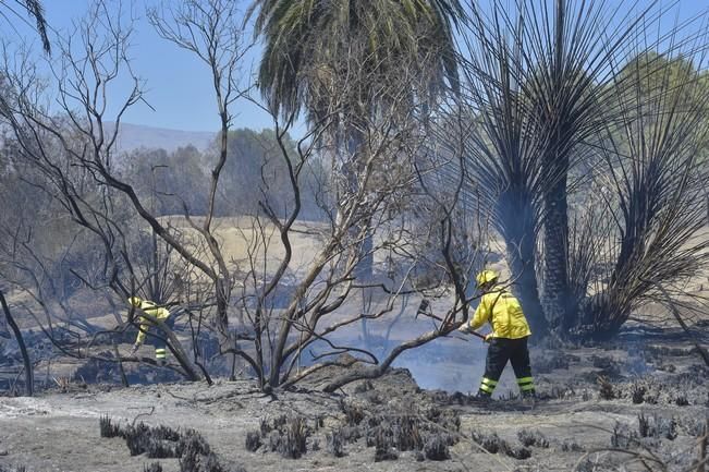 Incendio en la zona de las dunas de Maspalomas