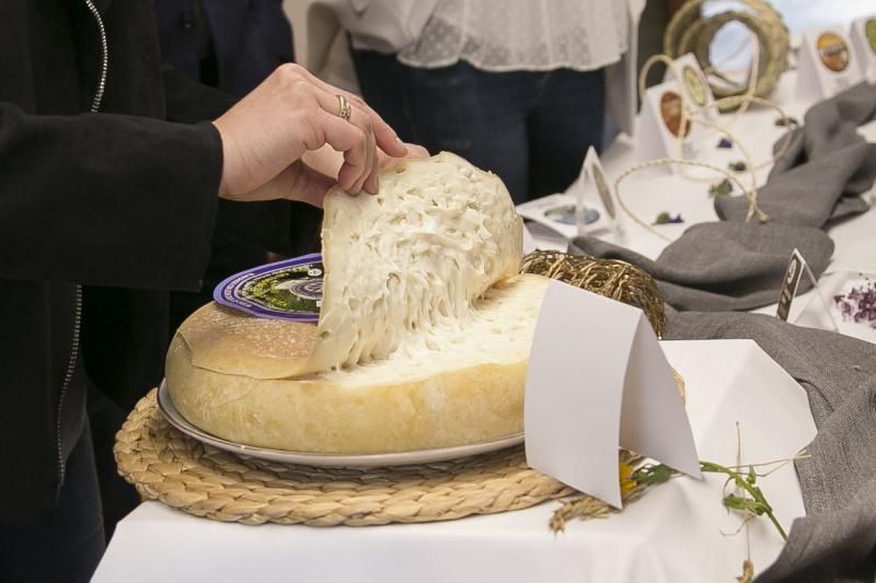 FUERTEVENTURA - Concurso Oficial Agrocanarias 2018 - EL CORTIJO DE CAIDEROS - MEJOR QUESO DE CANARIAS 2018 Y GRAN MEDALLA DE ORO QUESO CUAJO VEGETAL - 15-05-18  | 15/05/2018 | Fotógrafo: Gabriel Fuselli