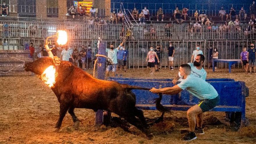 Caída la noche, el toro cerril de Sergio Centelles se emboló en la plaza portátil de Vila-real.