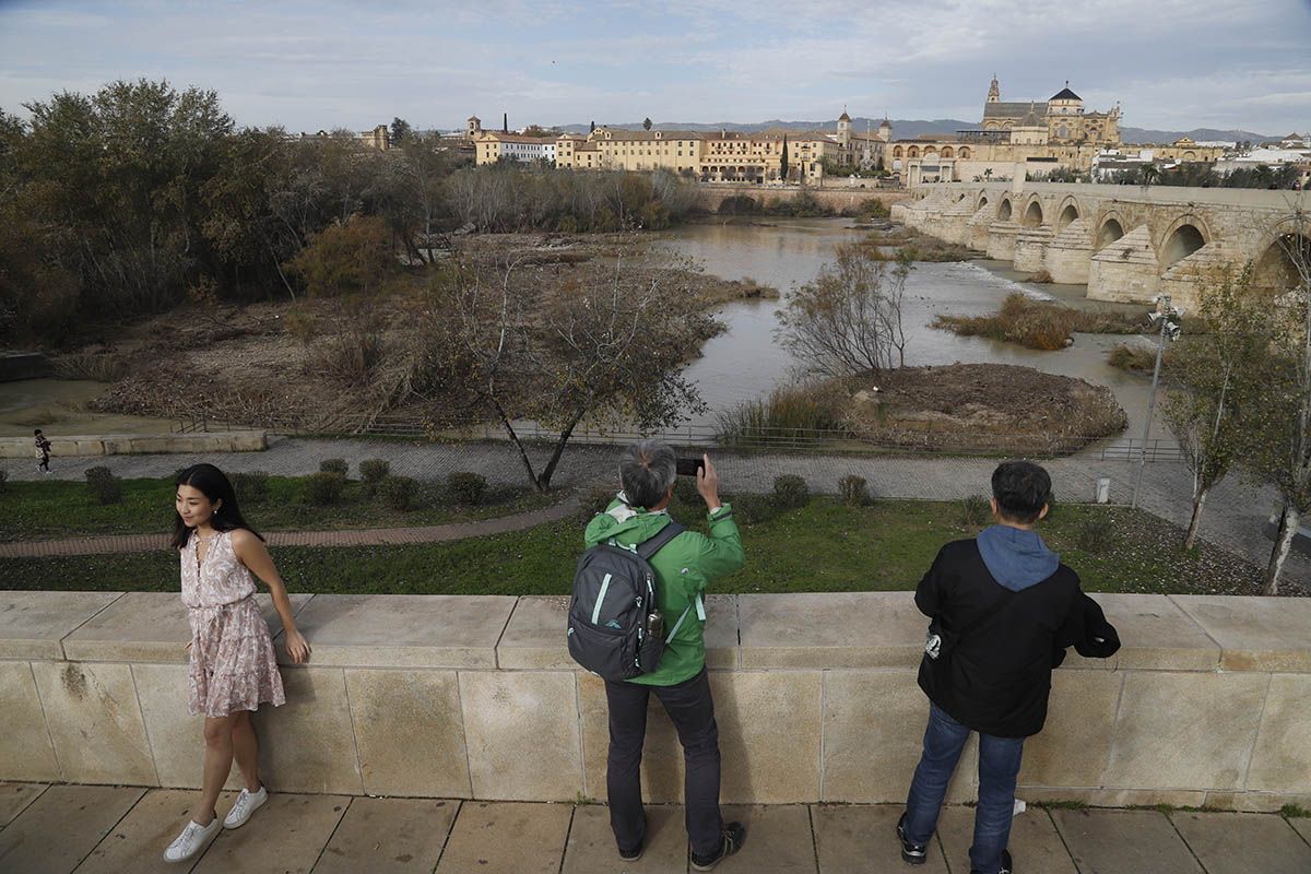 En imágenes el estado de la limpieza de los Sotos de la Albolafia