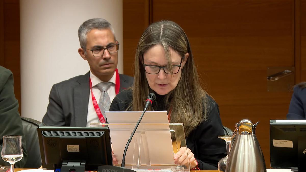 Álvarez (Asociación víctimas mortales) en la comisión: "Queremos justicia y no venganza"