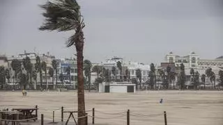 Viento en València: Aemet alerta rachas de viento de hasta 90 km/h