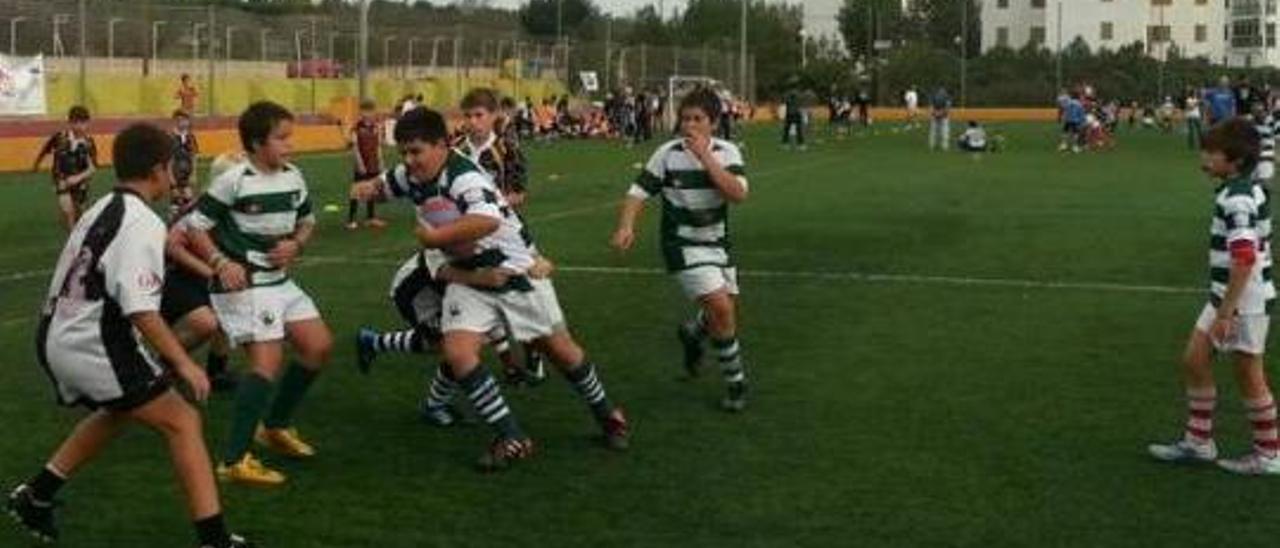 El polideportivo Mateu Cañellas acogió una nueva jornada