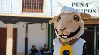 Así van los últimos preparativos de Fromago a tres días del inicio del escaparate mundial quesero de Zamora