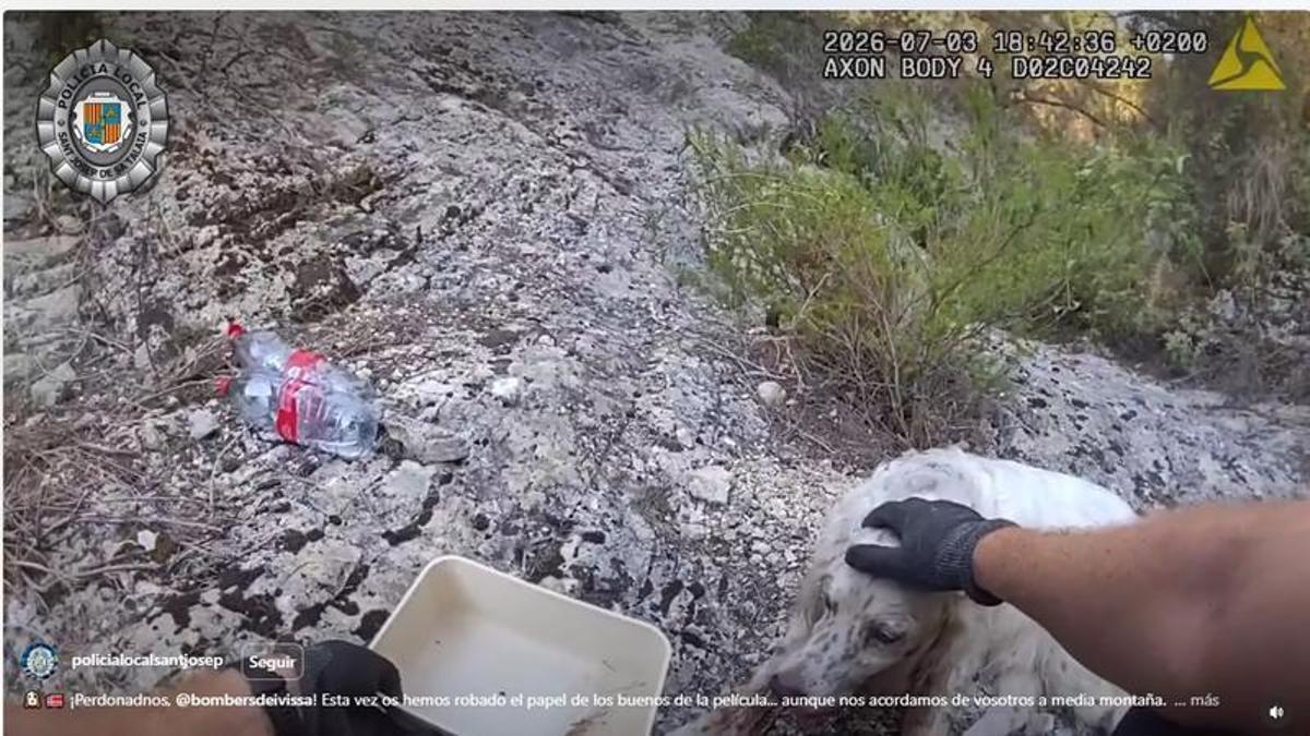 Captura de pantalla del vídeo del rescate de un perro publicado en el Instagram de la Policia Local