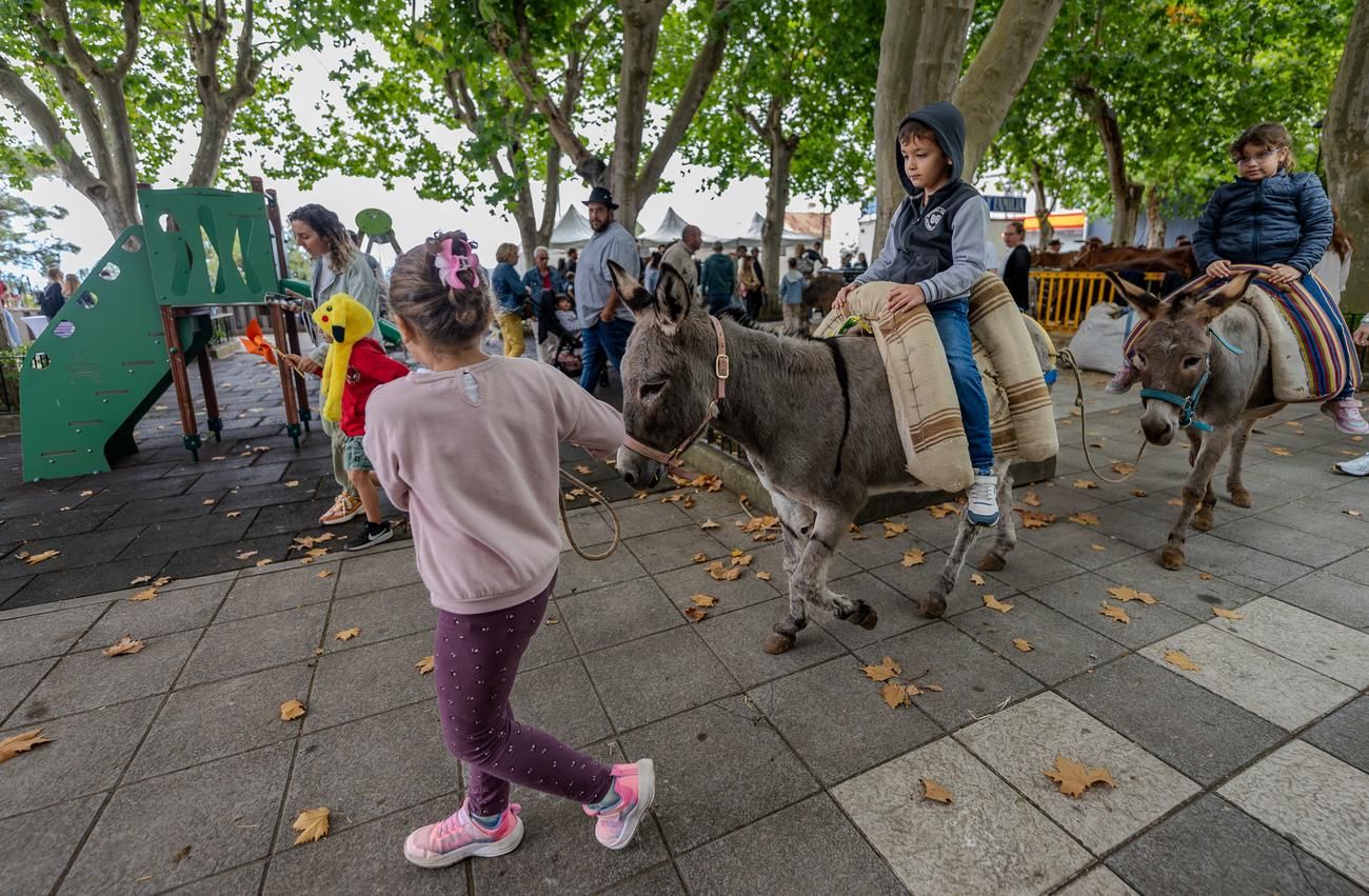 Feria 'Sabor y Tradición' en Valleseco