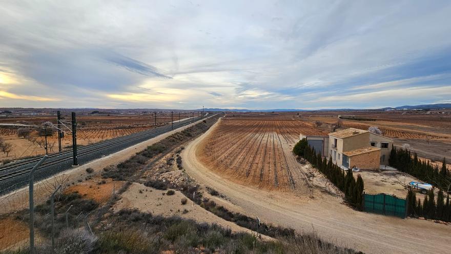 Requena se abre a acoger un futuro aeropuerto si es compatible con la agricultura y el enoturismo