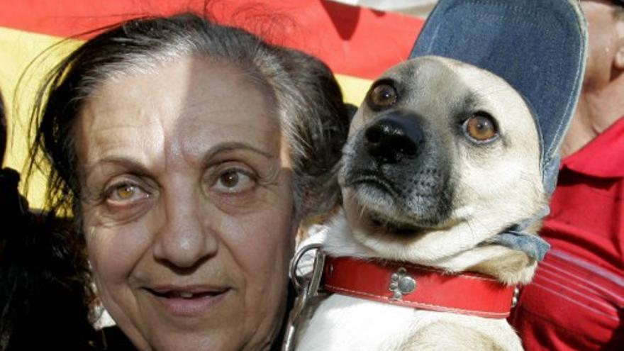 Las mascotas toman la plaza de San Antón en Cartagena