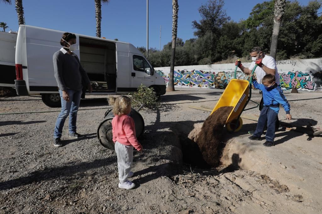 Siembra de árboles en el parque de sa Riera de Palma