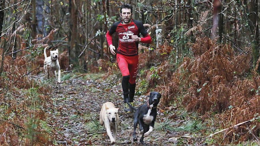 Alejandro Gómez, con sus perros por el monte en una foto de archivo.