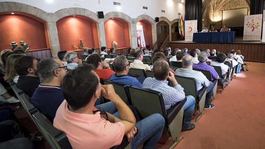 La Diputación de Cáceres presenta a los alcaldes los planes extraordinarios