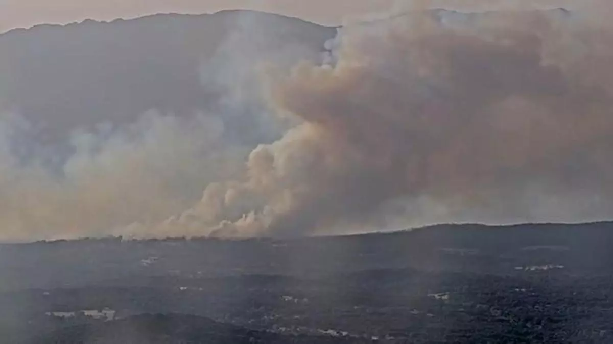 Se reactiva el incendio forestal de Burgohondo (Ávila)