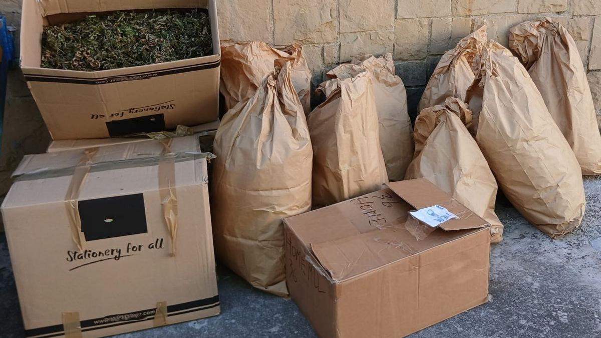 La policia va trobar 86 quilograms de cabdells de marihuana assecant-se a l'interior del domicili