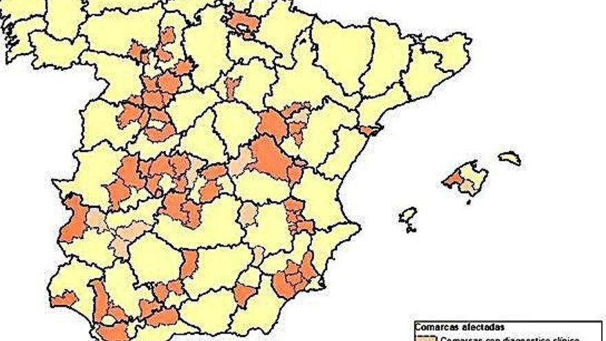 Mapa de provincias afectadas por la mixomatosis en liebre.