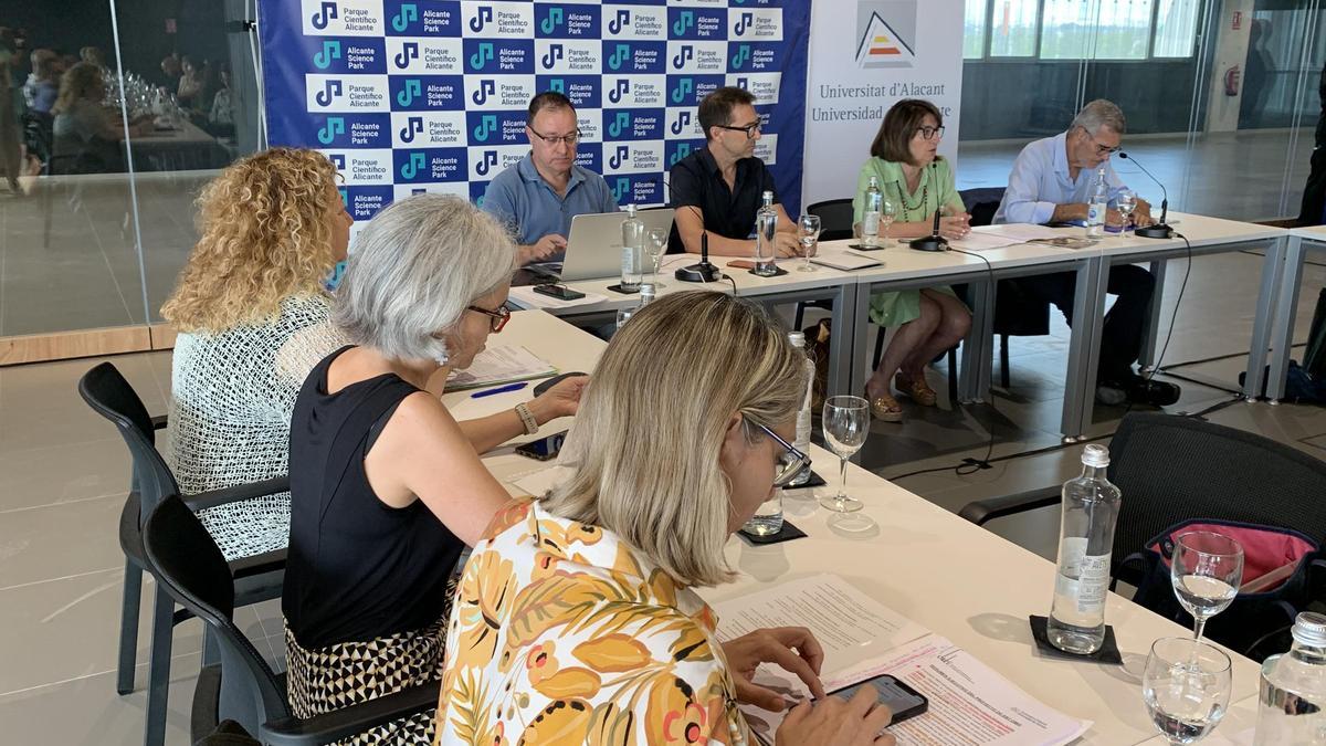 Uno de los momentos del Consejo de Gobierno de la Universidad de Alicante celebrado este jueves en la sede el Parque Científico de la UA.