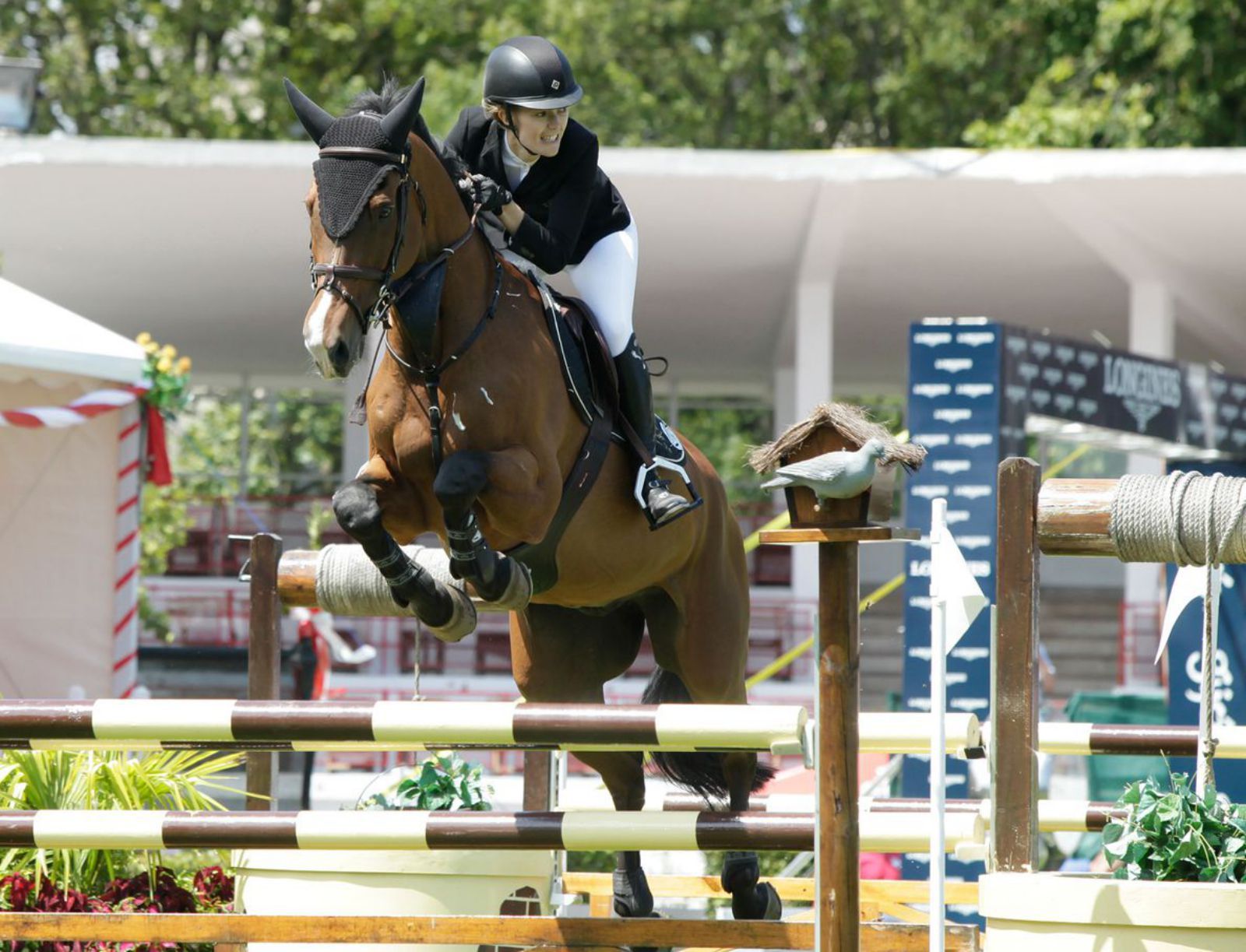 Marta Ortega en un concurso en el hipódromo de Las Mestas.