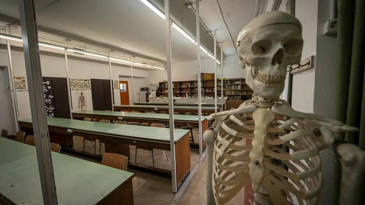 El 83% de los docentes aseguran que el clima en las aulas es conflictivo: "Solo aspiro a sobrevivir hasta la jubilación"