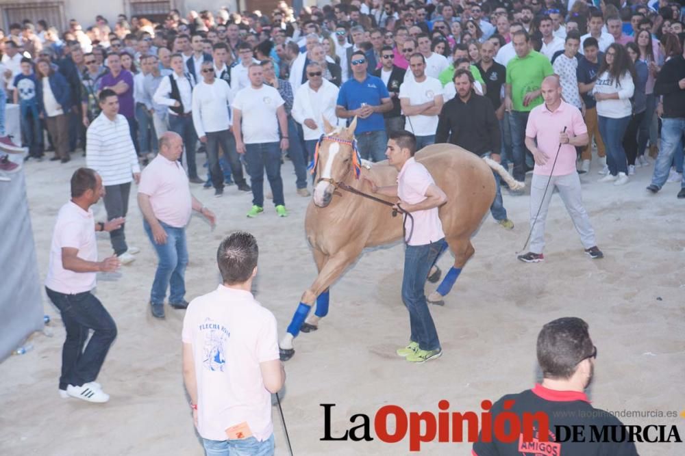 Día uno de mayo, entrada de caballos al Hoyo