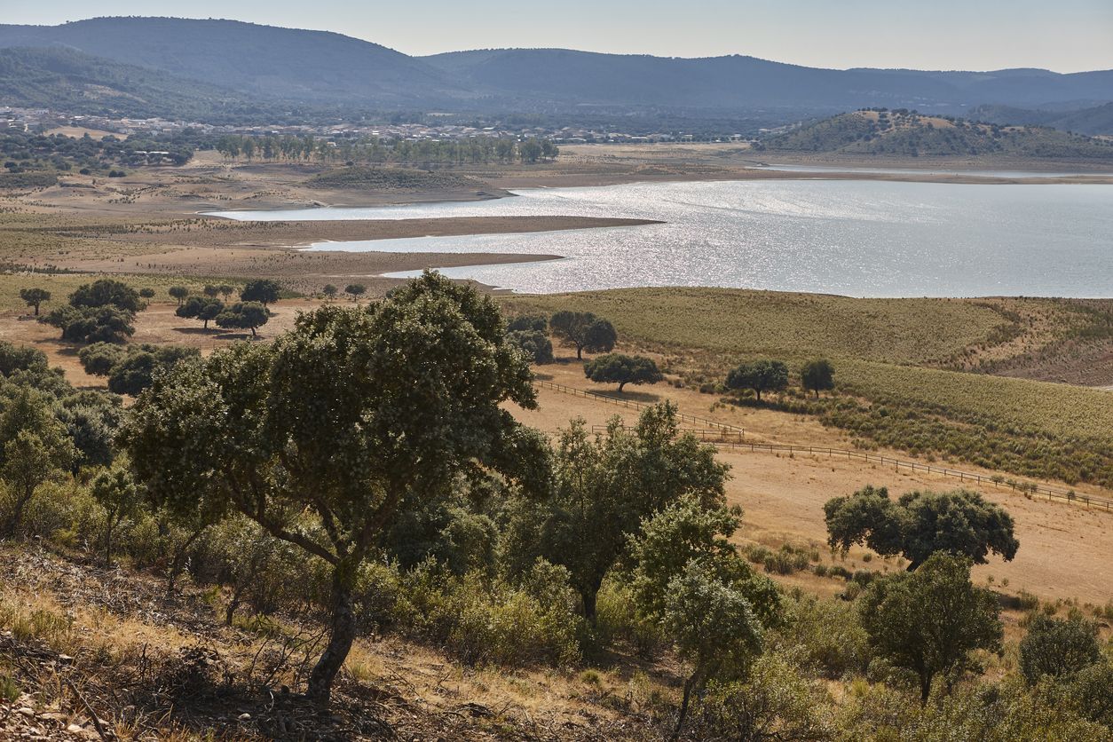 Vistas sobre el embalse de La Serena desde el Castillo de Puebla de Alcocer