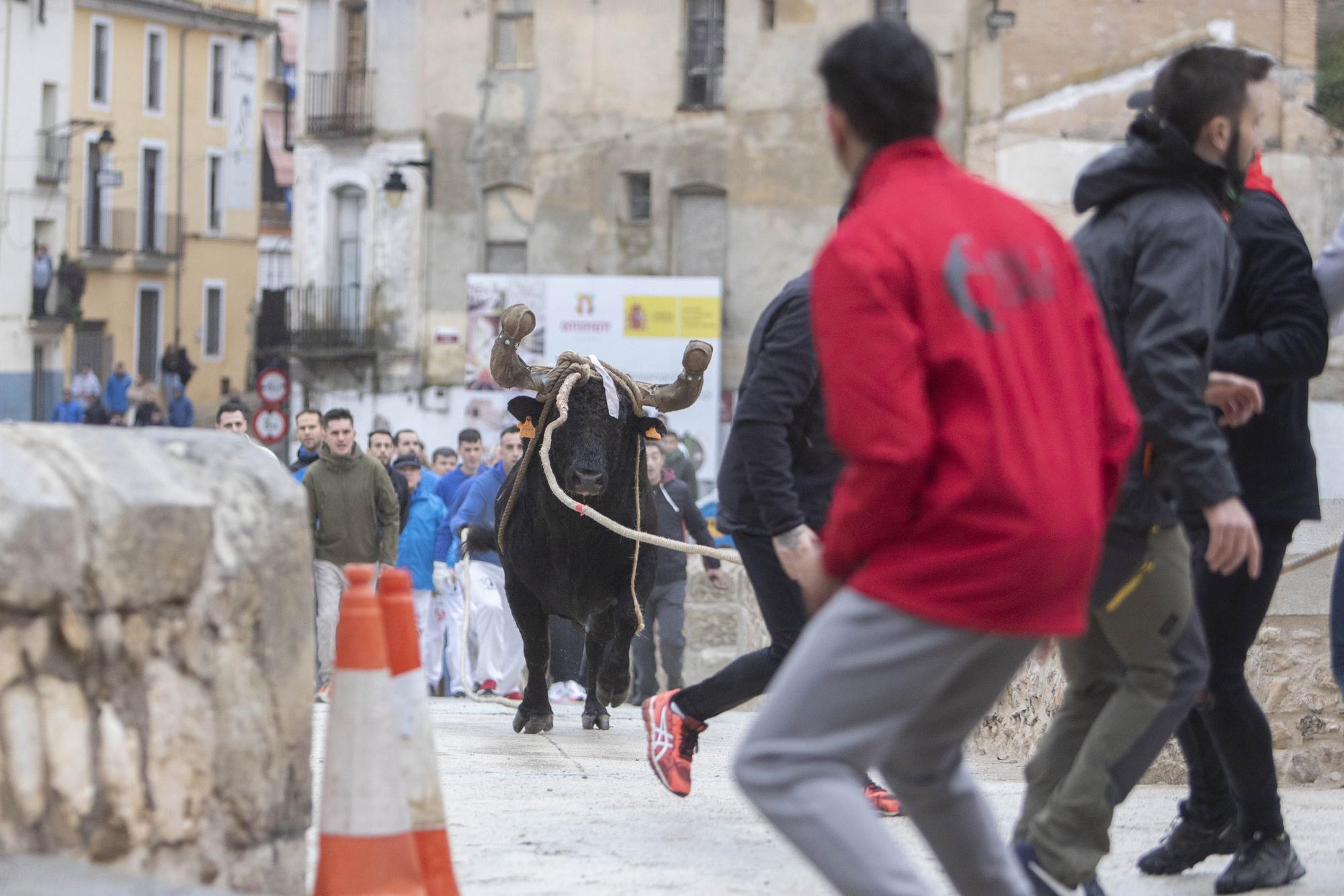 El "Bou en corda" vuelve al Pont Vell de Ontinyent