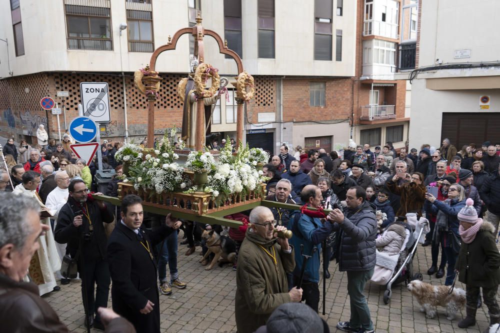 Bendición de animales de San Antón