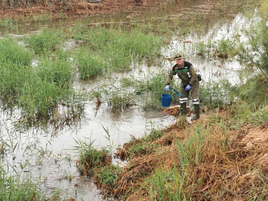 Técnicos toman muestras del agua en la Rambla del