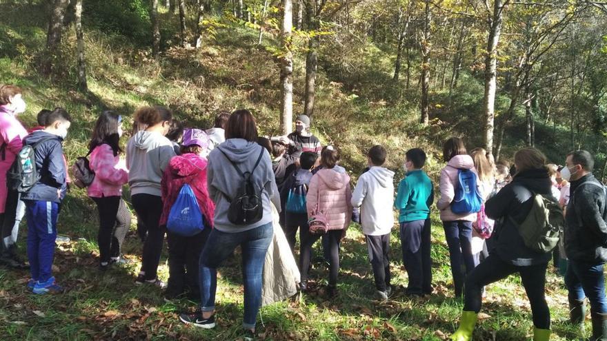 Ciencias a pie de naturaleza para los alumnos de Prado y del Antón Losada | BERNABÉ/JAVIER LALÍN