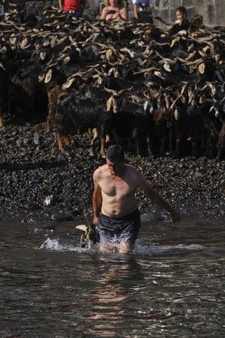 Baño de las Cabras en el muelle del Puerto de la Cruz